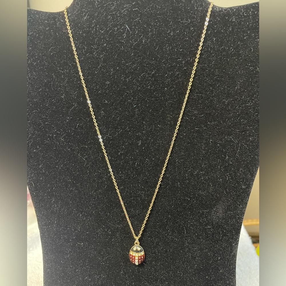 🔥FREE W/PURCHASE Lucky Lady Bug Necklace - Picture 2 of 3